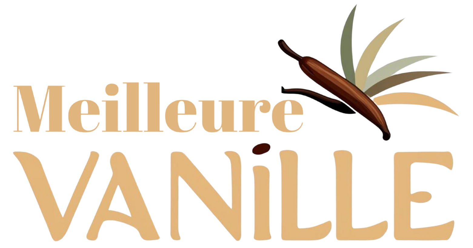 Meilleure Vanille