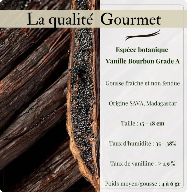 Pack 10 XXL - Gousses de vanille Bourbon Madagascar 18-20 cm – Image 5