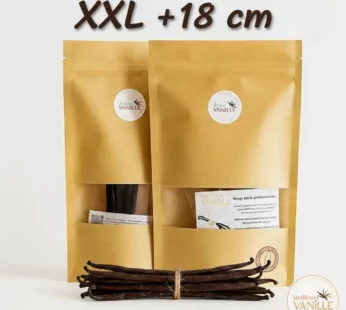 Pack 100 XXL- Gousses de vanille Bourbon Madagascar 18-20 cm